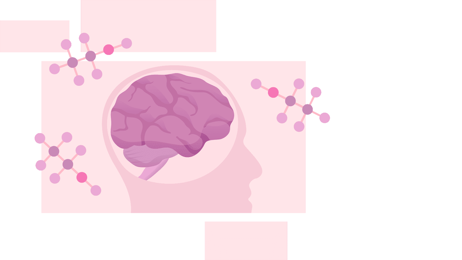 Illustration représentant une tête humaine avec le cerveau visible